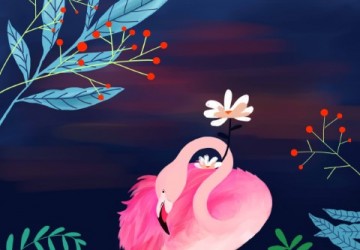 Pembe Flamingo Güneş Ve Bitki…