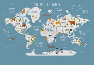 Dünya Haritası Ve Kıtalara…