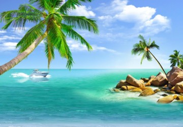 palmiye ağacı jetski ve okyanus
