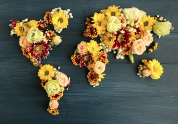 çiçek süsleme dünya haritası