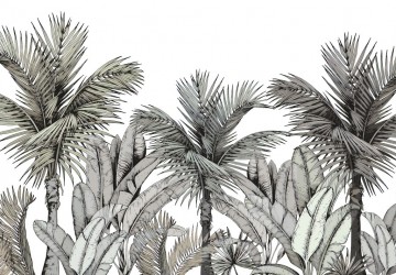 tropikal bitkiler ve palmiyeler
