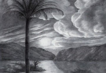 kara bulutlar fırtına ve palmiye
