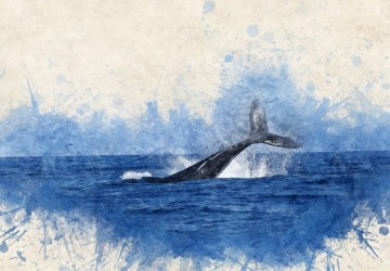 masmavi deniz ve ortasında balina