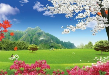 orman manzarası Bahar çiçekleri…