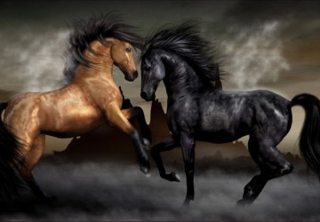 asaleti temsil eden atlar
