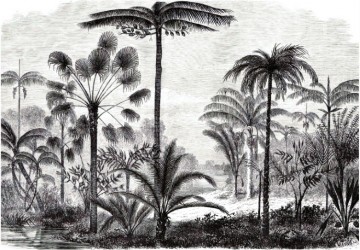 palmiye ağaçları gravür sanatı