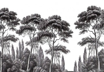 orman manzarası çizimi
