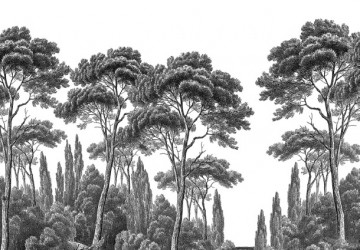 eskiz sanatı ağaçlar